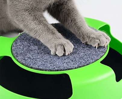 اسباب بازی اسکرچ گربه همراه با موش چرخان