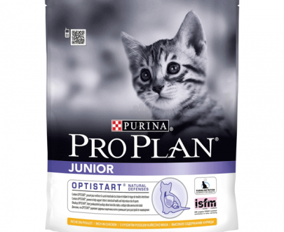 غذای خشک بچه گربه جهت بهبود سیستم ایمنی بدن؛ غنی شده با مرغ