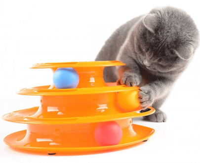 برج بازی ریلی 3 طبقه گربه