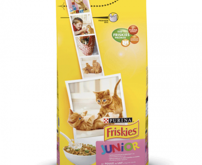 غذای خشک بچه گربه فریسکیز تهیه شده از مرغ، شیر و سبزیجات