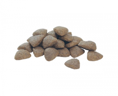 غذای خشک سگ بالغ پروپلن مخصوص نژاد متوسط؛ غنی شده در مرغ