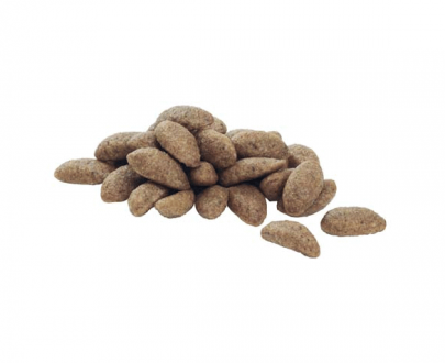 غذای خشک سگ بالغ پروپلن مخصوص نژاد متوسط با پوست حساس؛ غنی شده با ماهی سالمون