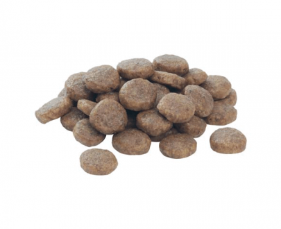 غذای خشک توله سگ پروپلن مخصوص نژاد متوسط؛ غنی شده در مرغ