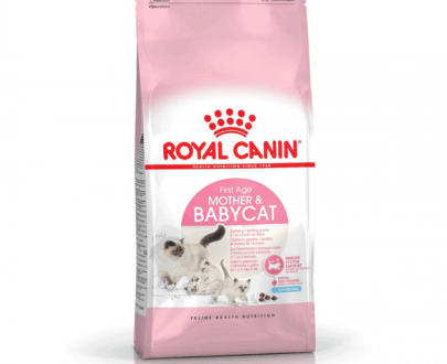 غذای خشک رویال کنین مخصوص بچه گربه و مادر باردار و شیرده