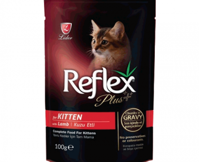 پوچ بچه گربه ژلاتینی رفلکس تهیه شده از گوشت بره