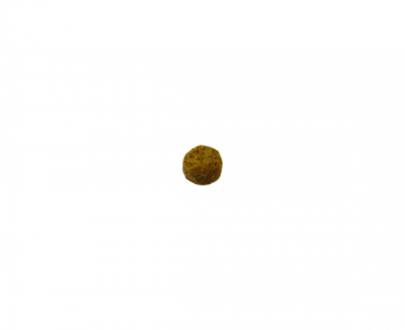 غذای خشک سگ بوش Bosch مخصوص نژاد کوچک؛ تهیه شده از بره و برنج