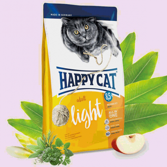 غذای خشک رژیمی گربه هپی کت؛ Happy Cat Light