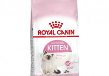 خرید غذای خشک بچه گربه رویال کنین Kitten؛ 4 تا 12 ماه | پت شاپ روژدا
