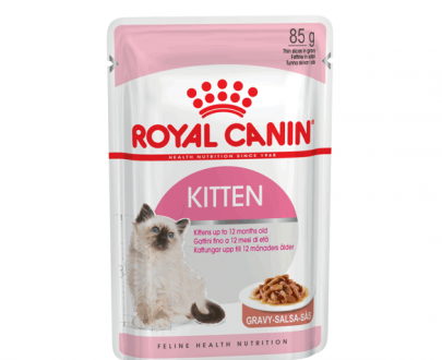 پوچ بچه گربه ژلاتینی رویال کنین Kitten