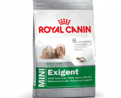 غذای خشک سگ رویال کنین، Royal Canin Mini Exigent