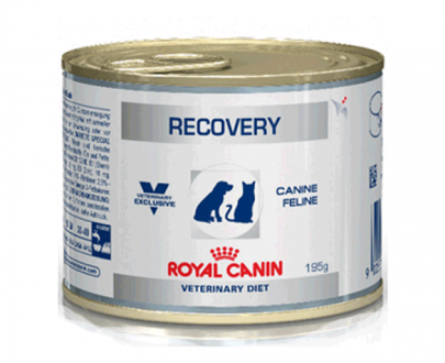 کنسرو ریکاروی سگ و گربه رویال کنین؛ مخصوص دوران نقاهت