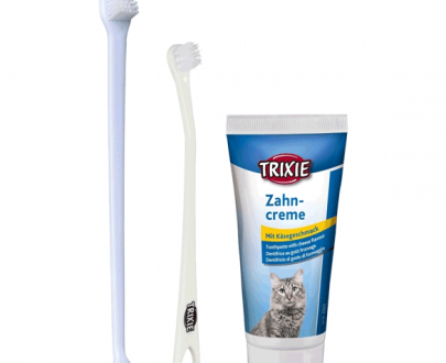 ست مسواک و خمیردندان گربه با طعم پنیر