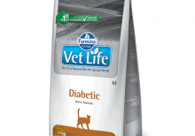 غذای درمانی وت لایف (Vet Life)؛ مخصوص گربه های دیابتی