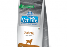 غذای درمانی وت لایف (Vet Life)؛ مخصوص سگ های دیابتی