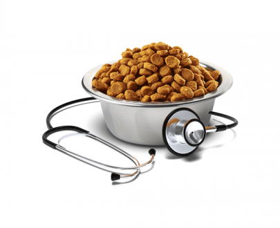 غذای درمانی سگ و گربه وت لایف