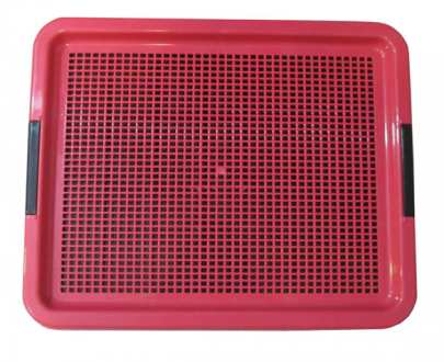 سینی ادرار سگ