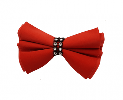 پاپیون سگ مدل نگین دار