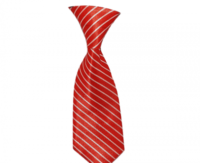 کراوات سگ مدل B