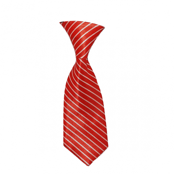 کراوات سگ مدل B