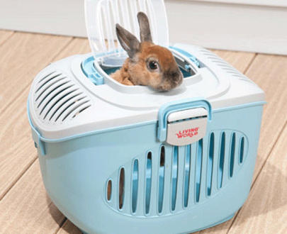 باکس حمل گربه و سگ LIVING WORLD