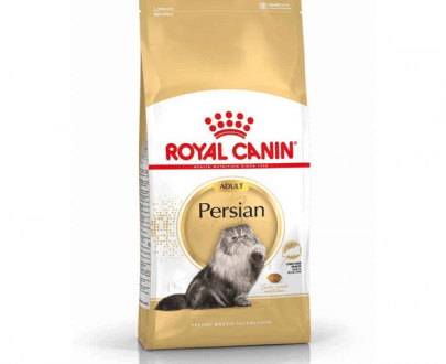 غذای خشک گربه رویال کنین Persian مخصوص نژاد پرشین