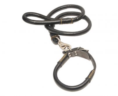 قلاده چرمی سگ